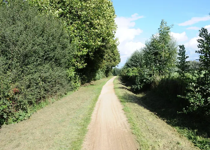 酒店 Restaurant Doppeladler 里斯