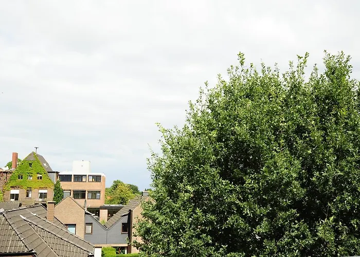 酒店 Restaurant Doppeladler 3*